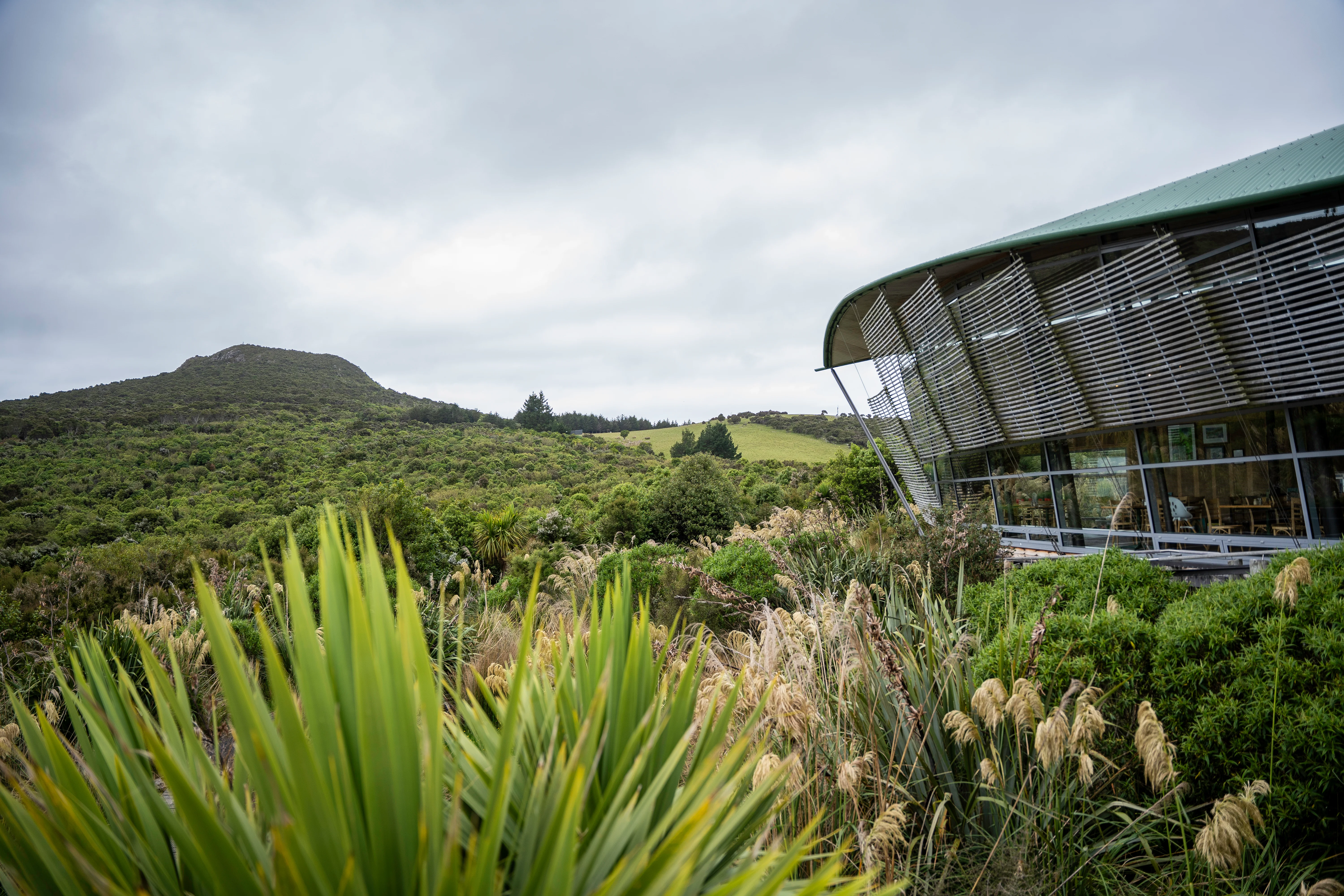 Orokonui Ecosanctuary