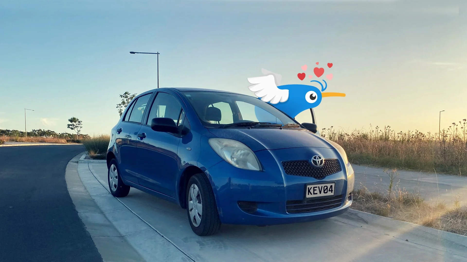 Trade Me Motors logo