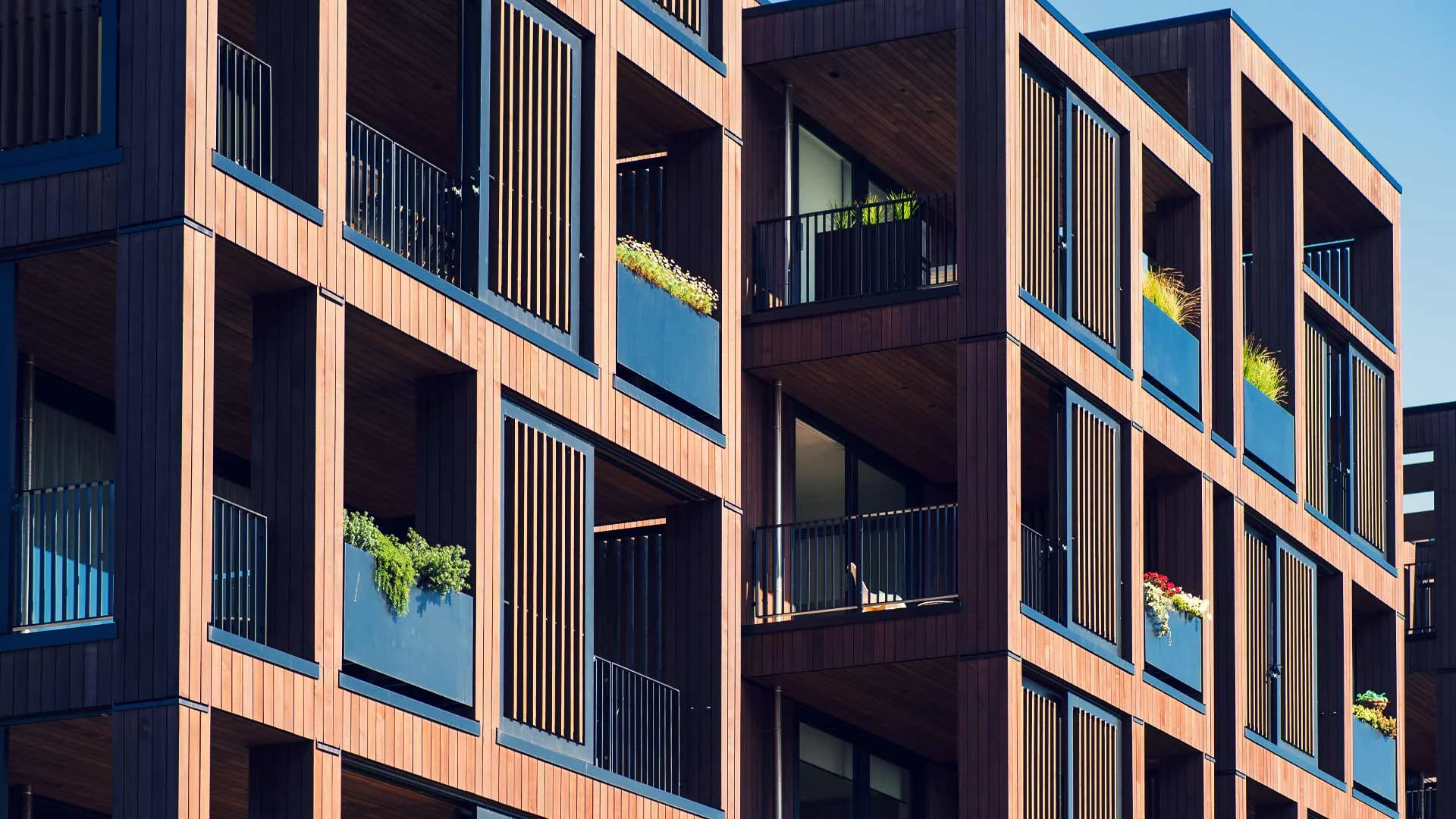 Apartment buildings in Auckland.