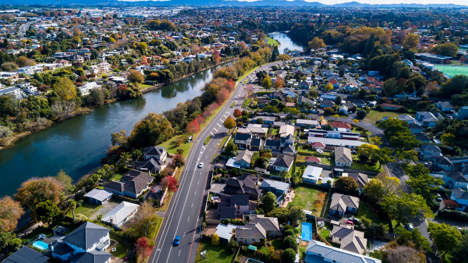 Hamilton's best suburbs