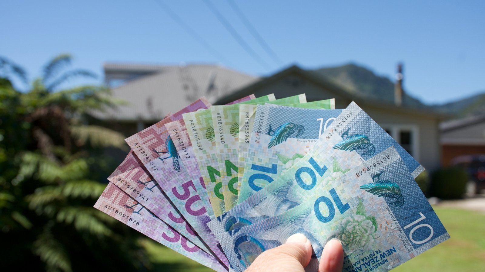 Person holding new zealand money