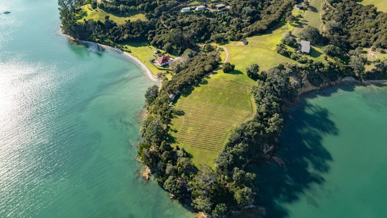 Aerial view of Waiheke Island
