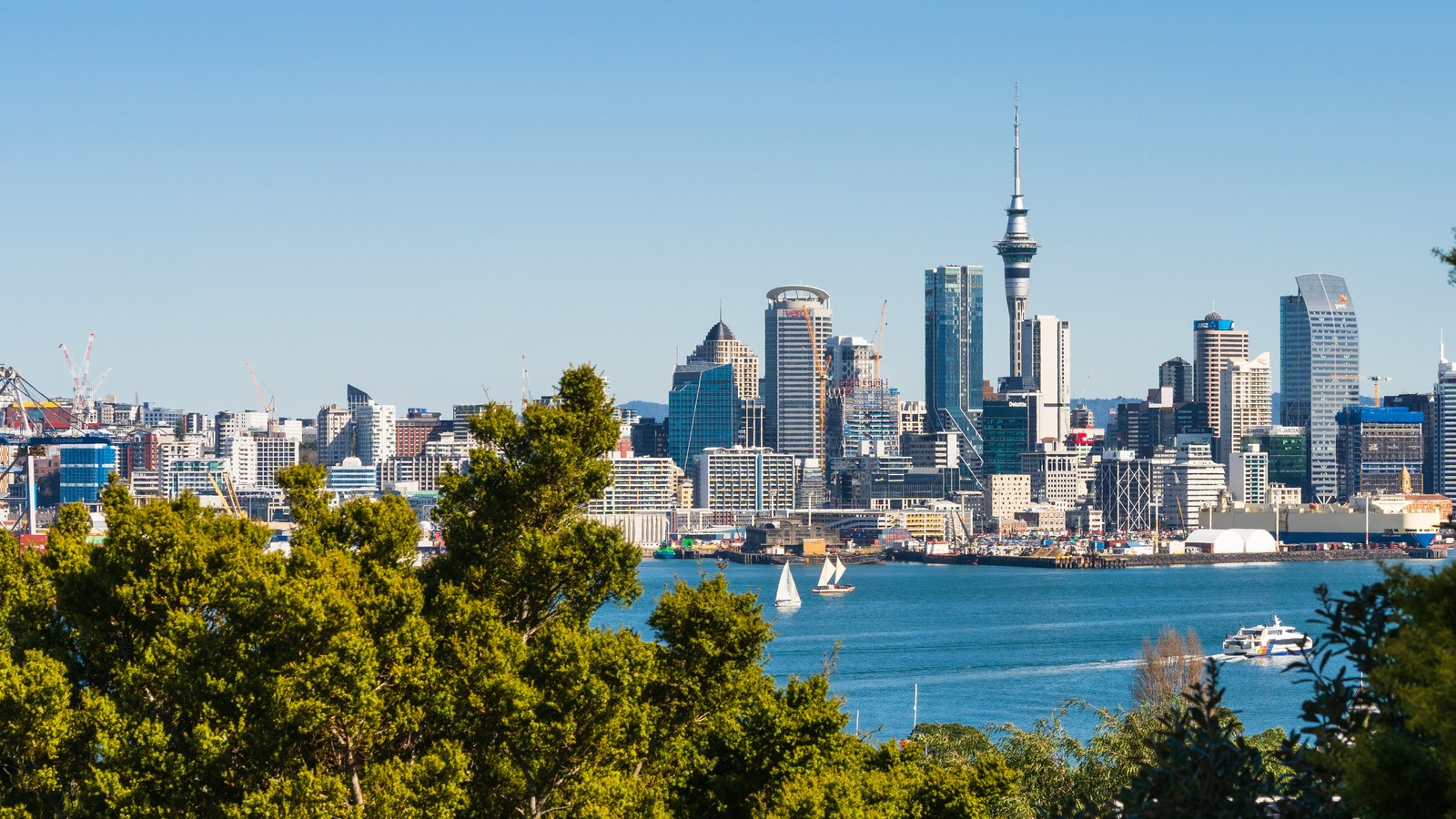 What is the average rent in Auckland? (2024) | Trade Me Property