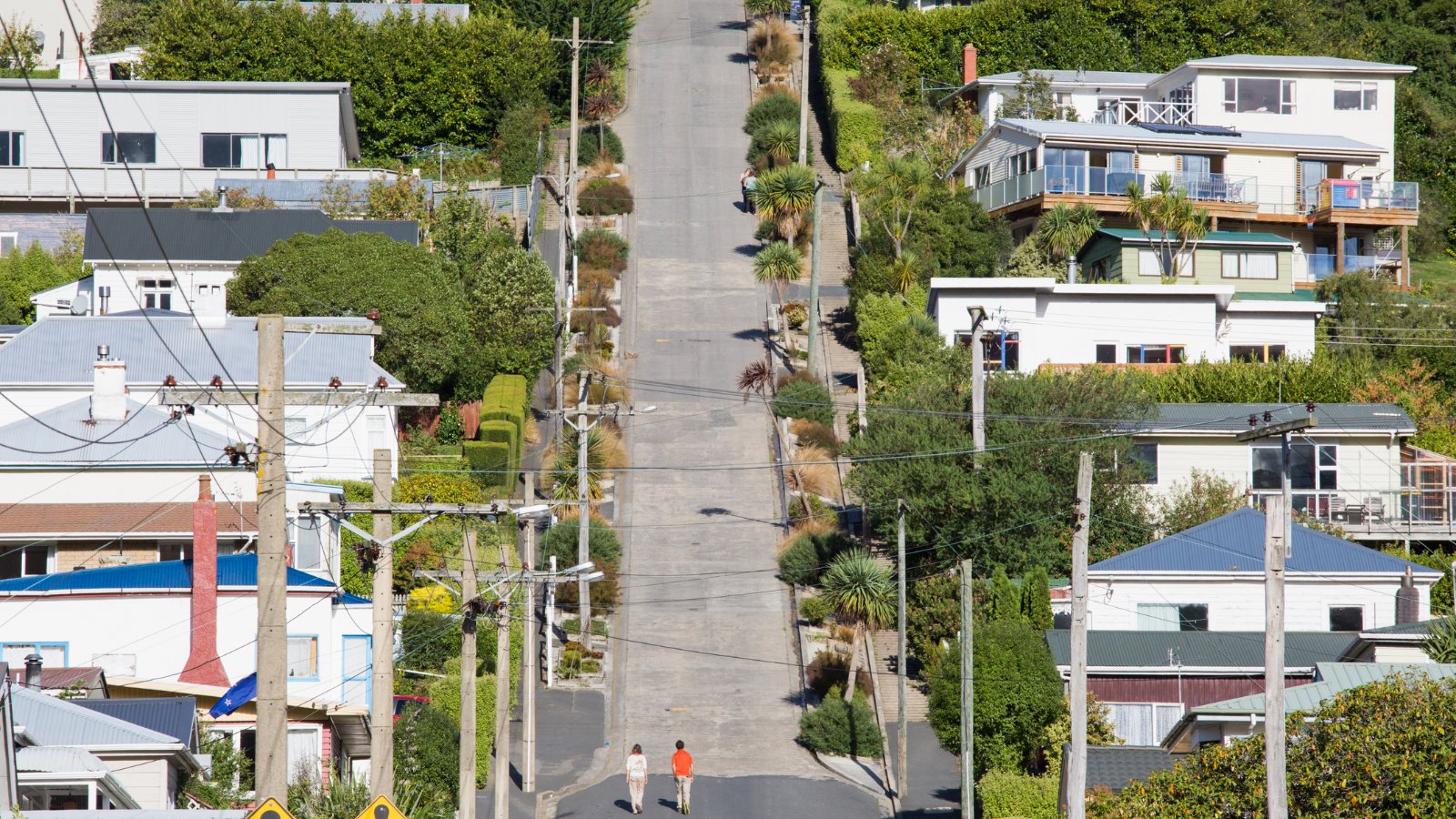 Baldwin Street in Dunedin's North East Valley
