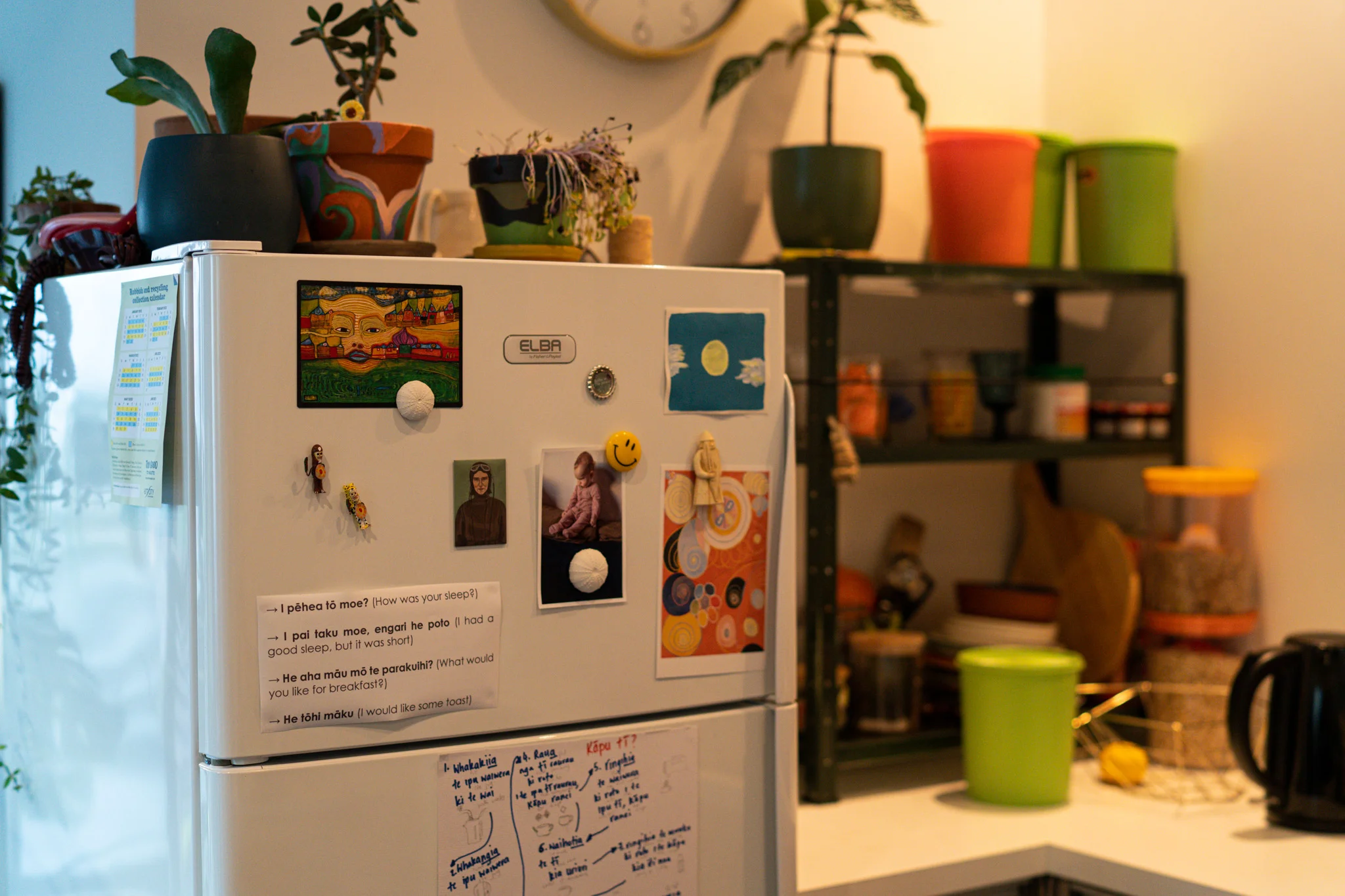 Photos from around the whare