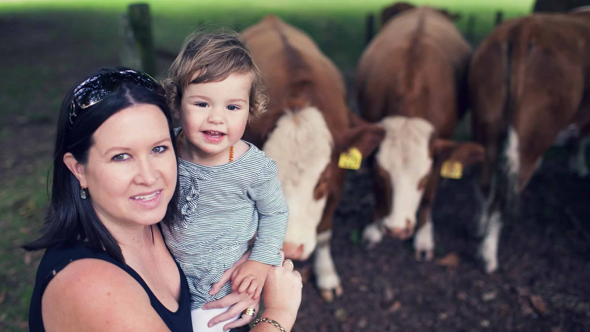 Cornwall Park, Auckland.