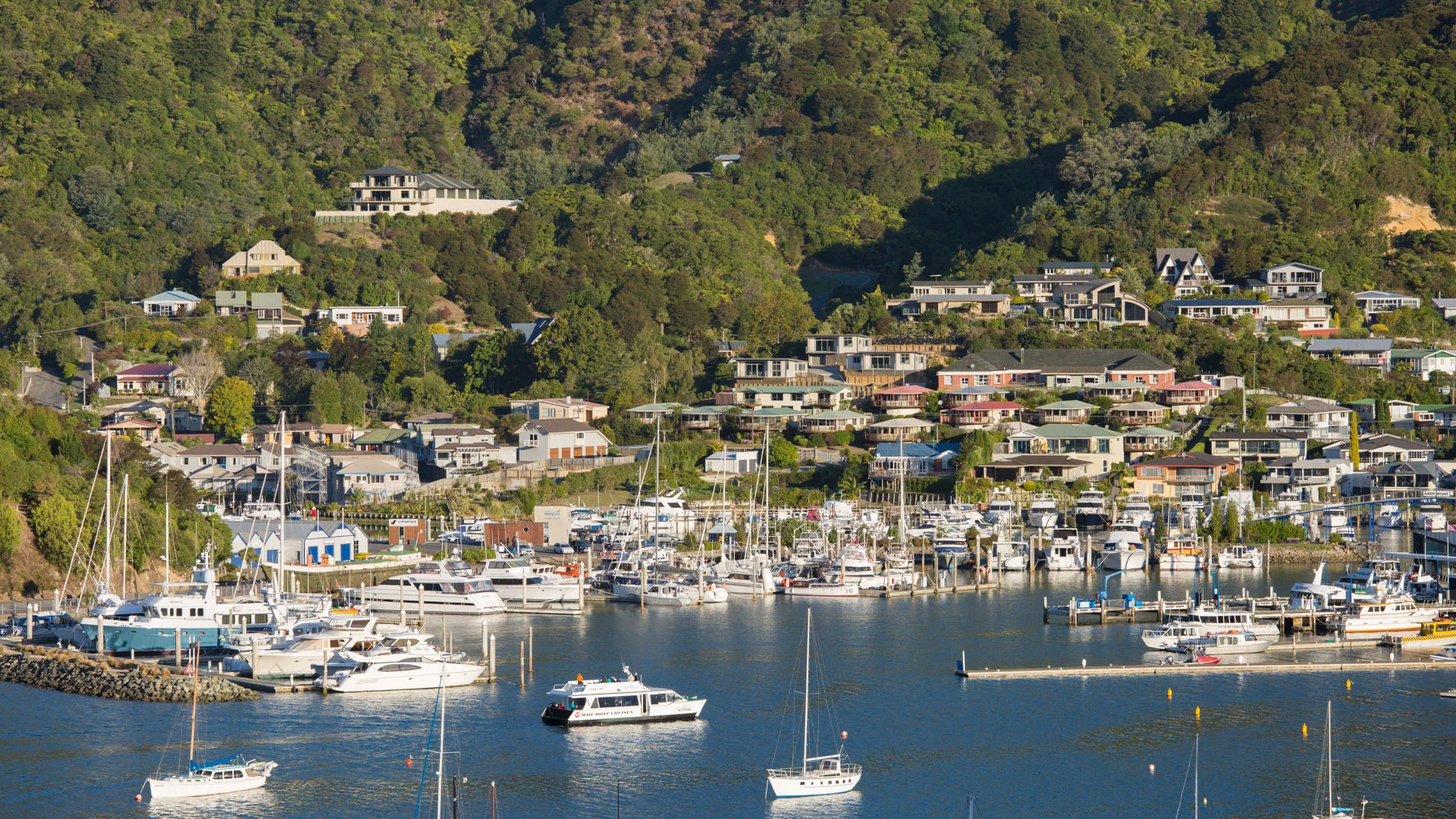 A view of boats in Picton harbour with the town in the background.