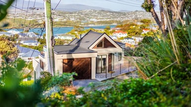 Hataitai, Wellington is in demand