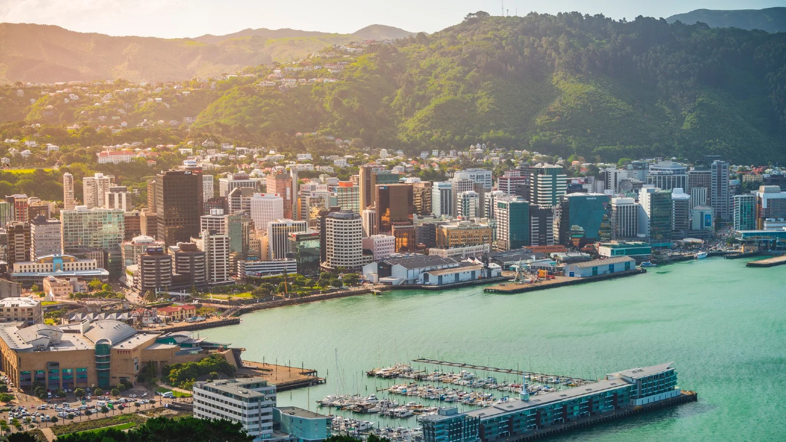 Image of Wellington harbour.