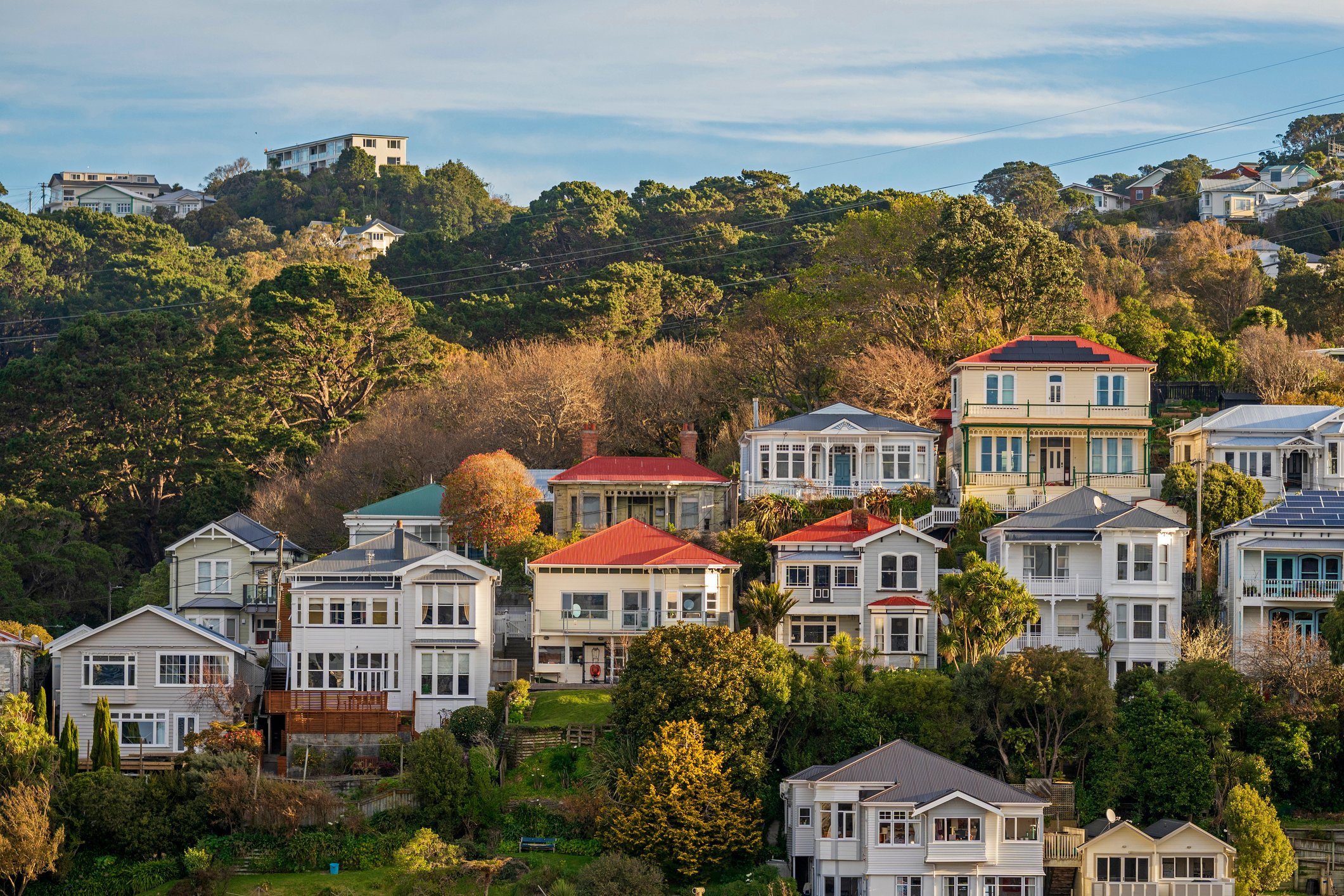 Wellington at dusk