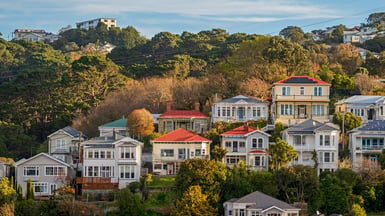 Wellington at dusk