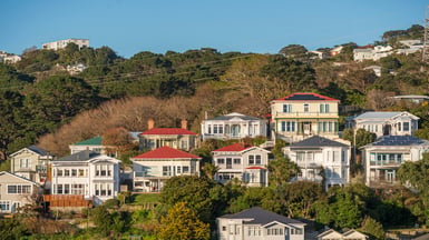 View of Wellington property 