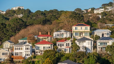 View of Wellington property