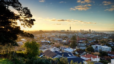 Aerial view of houses in New Zealand