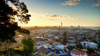 Aerial view of houses in New Zealand