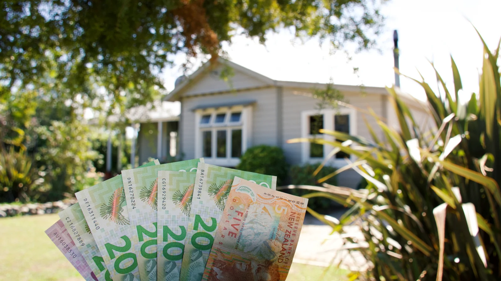 NZD in front of house.