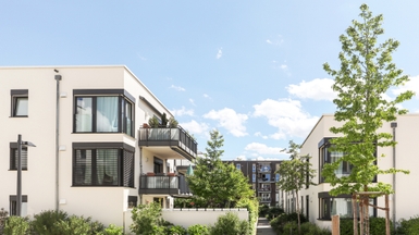 Close-up of high-density inner-city terraced houses and apartments in a New Zealand metropolitan area, highlighting the need for increased intensification to tackle the housing crisis.