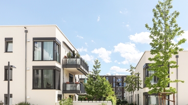 Close-up of high-density inner-city terraced houses and apartments in a New Zealand metropolitan area, highlighting the need for increased intensification to tackle the housing crisis.