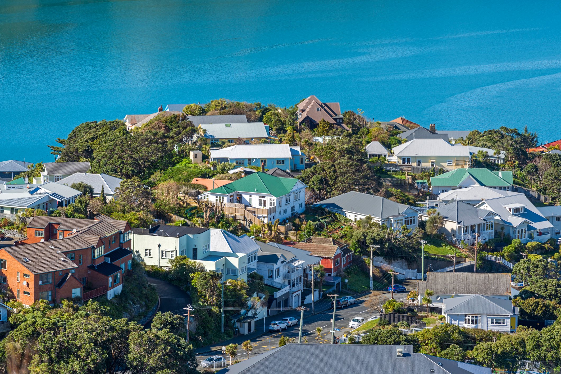 Image of Wellington 