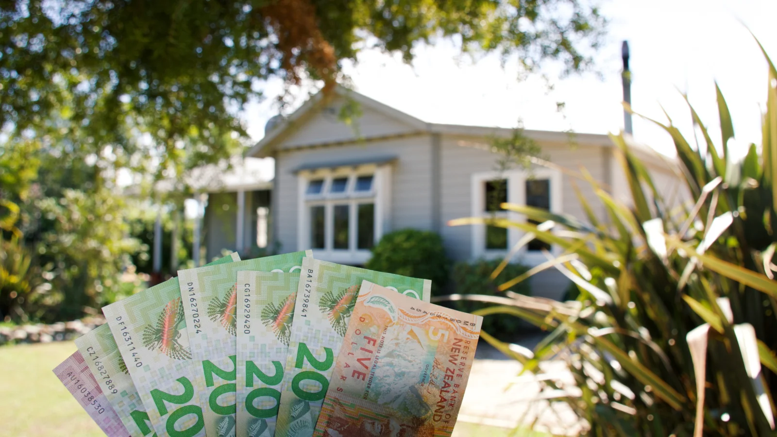 Cash in hand in front of house.