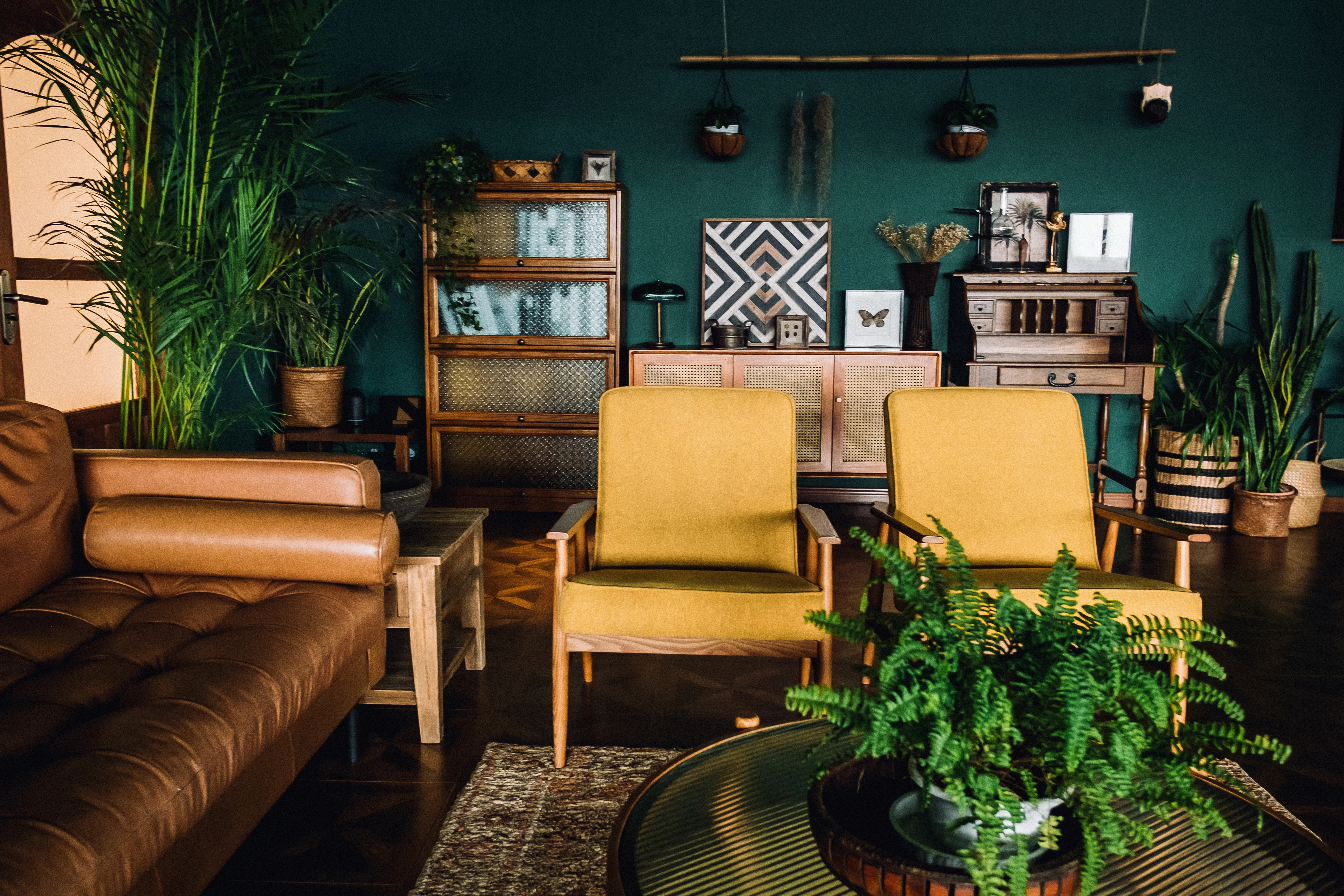 Image shows a cosy living area with green walls, mustard coloured couches and greenery.