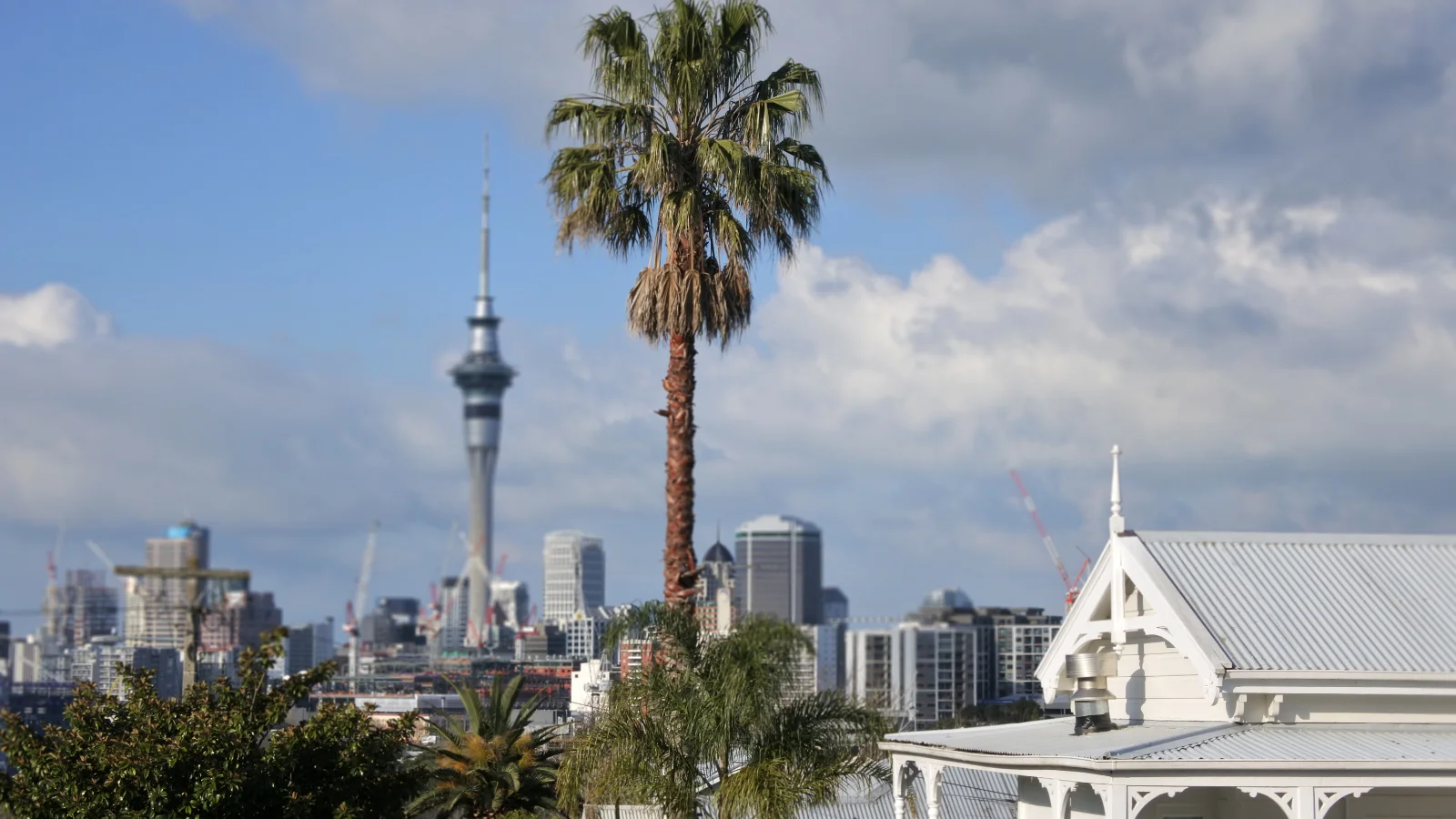 Auckland house with Skytower in background.