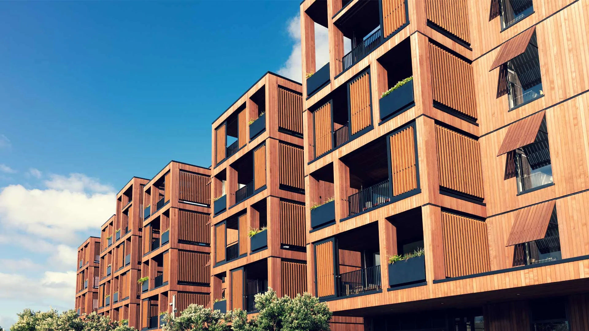 Apartments in New Zealand.