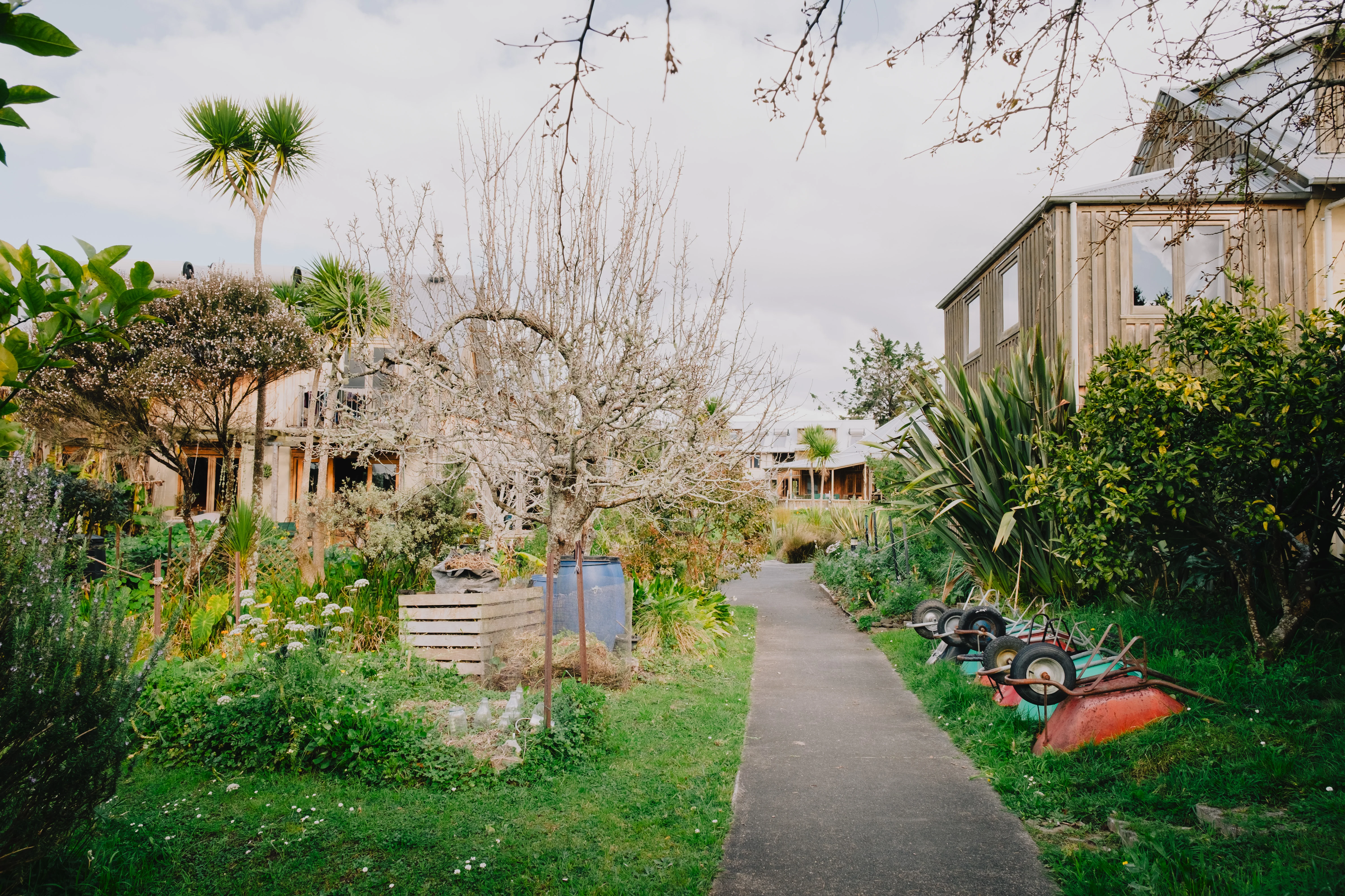 More photos of Robin's home