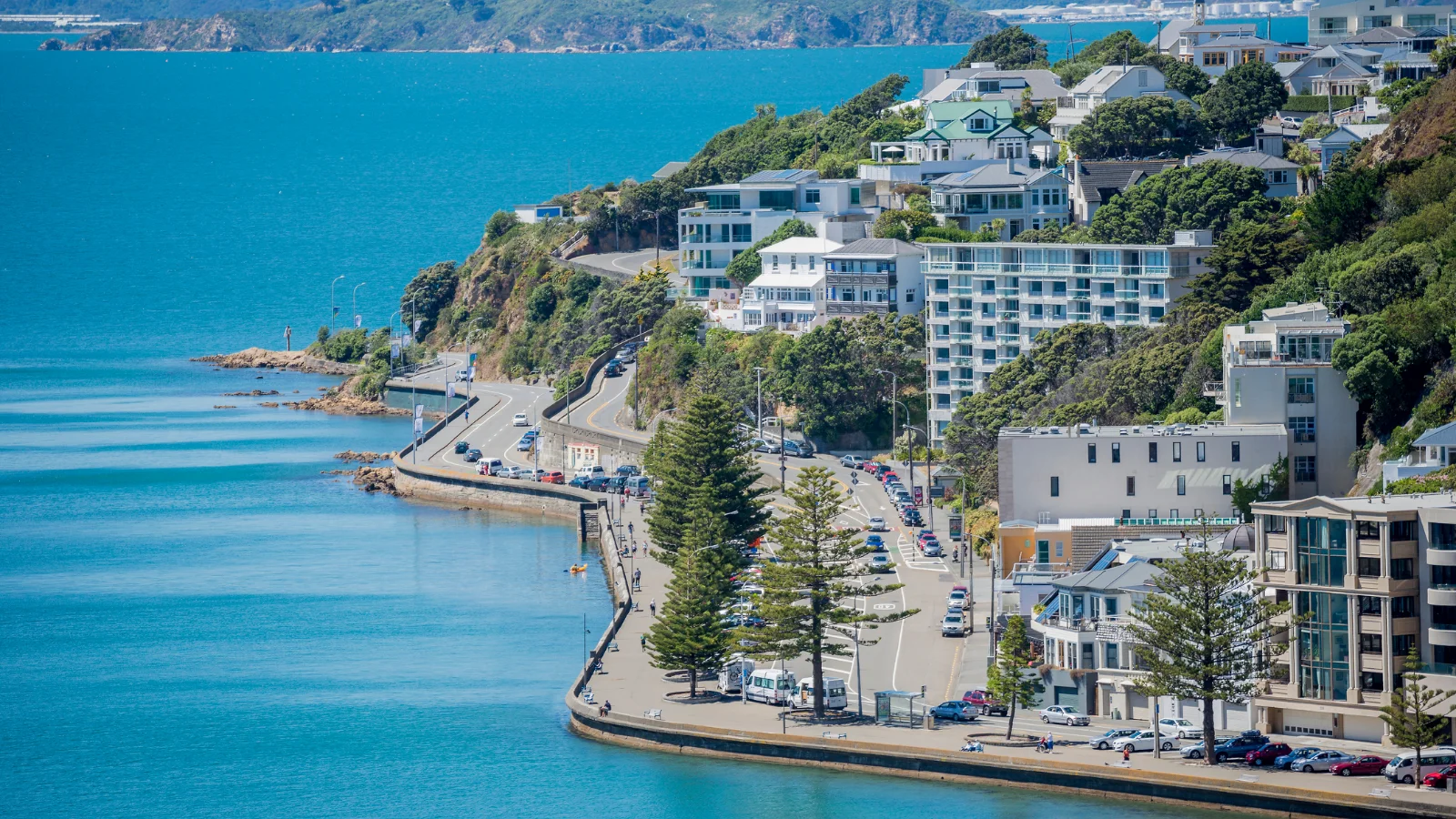 Wellington homes Oriental Bay