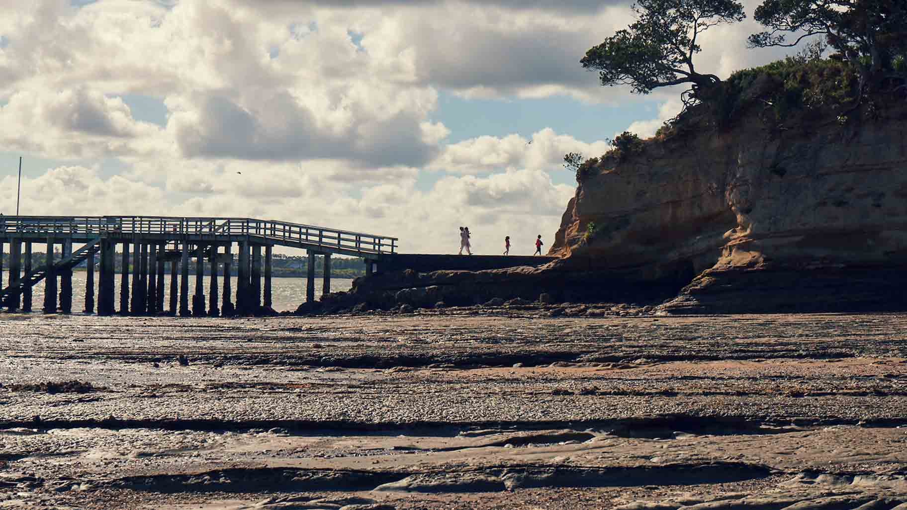 The coast near Birkenhead, in Auckland.
