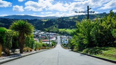Aerial view of houses in New Zealand