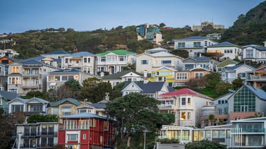 Houses in Wellington