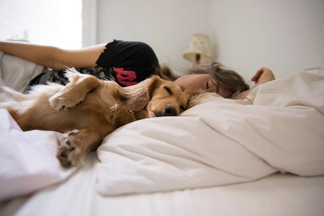 Woman sleeping in bed with her dog in a warm house in New Zealand.