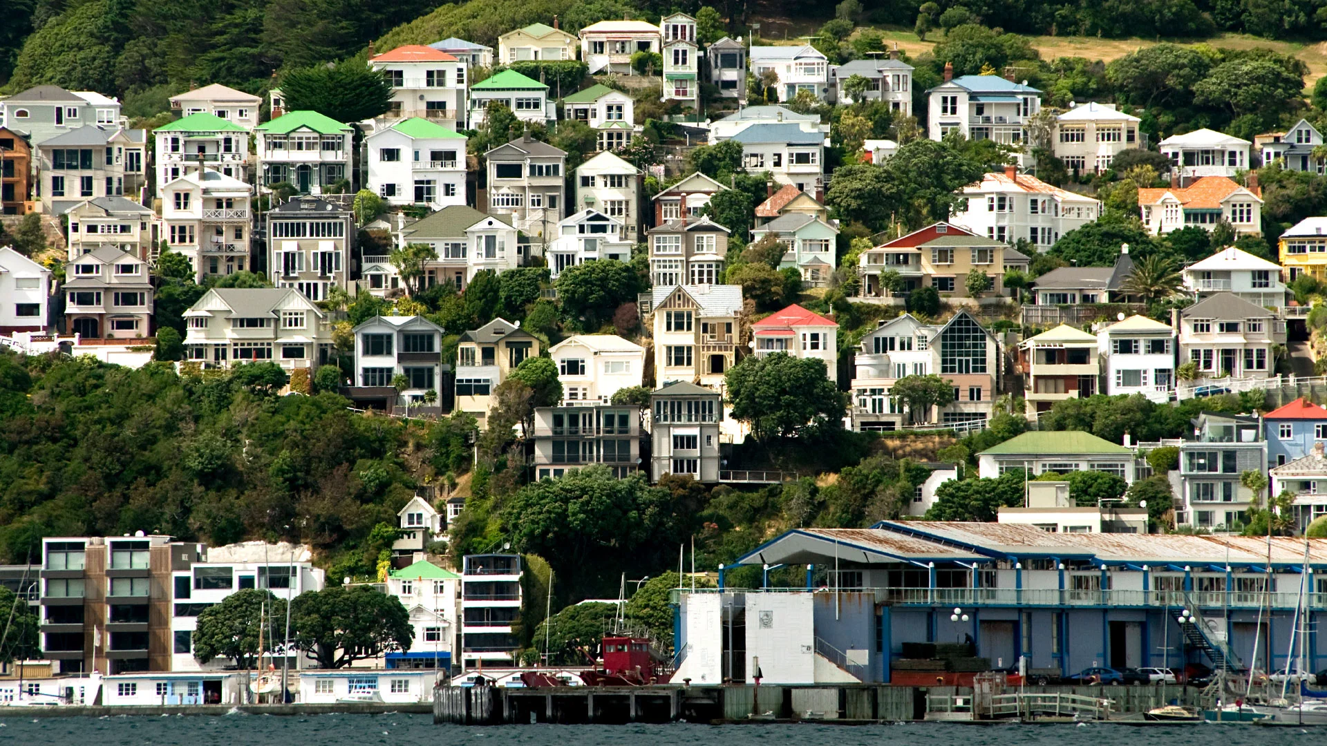 The hillside of Hataitai suburb in Wellington with properties on it.