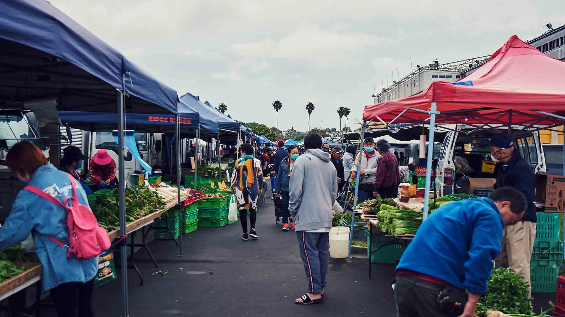 Avondale markets, Avondale, Auckland.