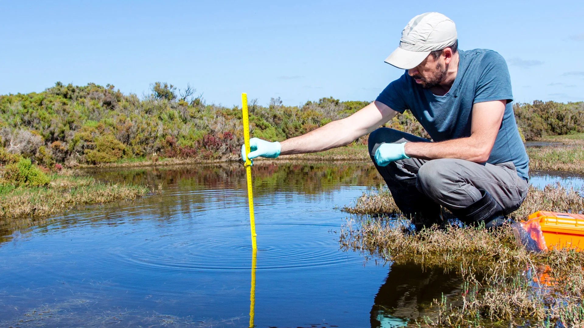 Ecologist testing the quality of a freshwater stream.