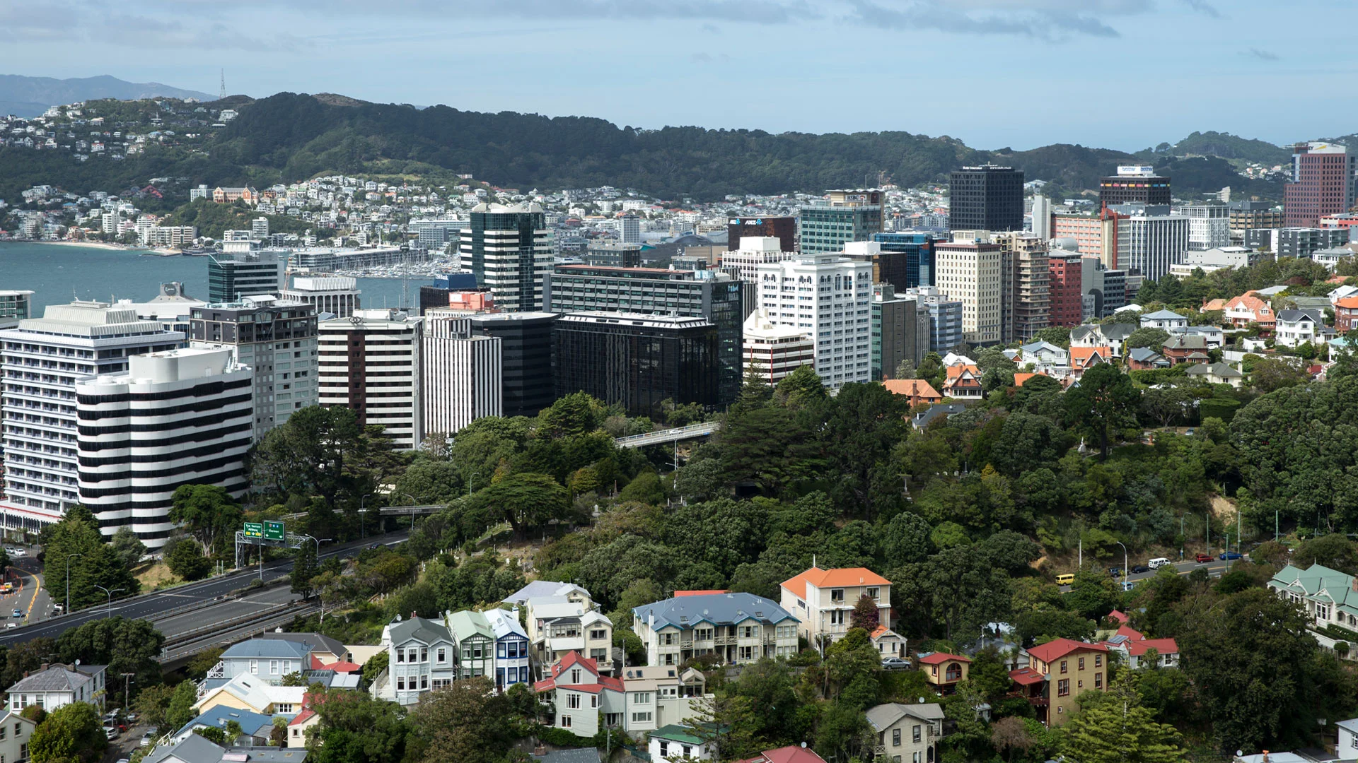 A view of Wellington showing residential areas, the CBD and the harbour.
