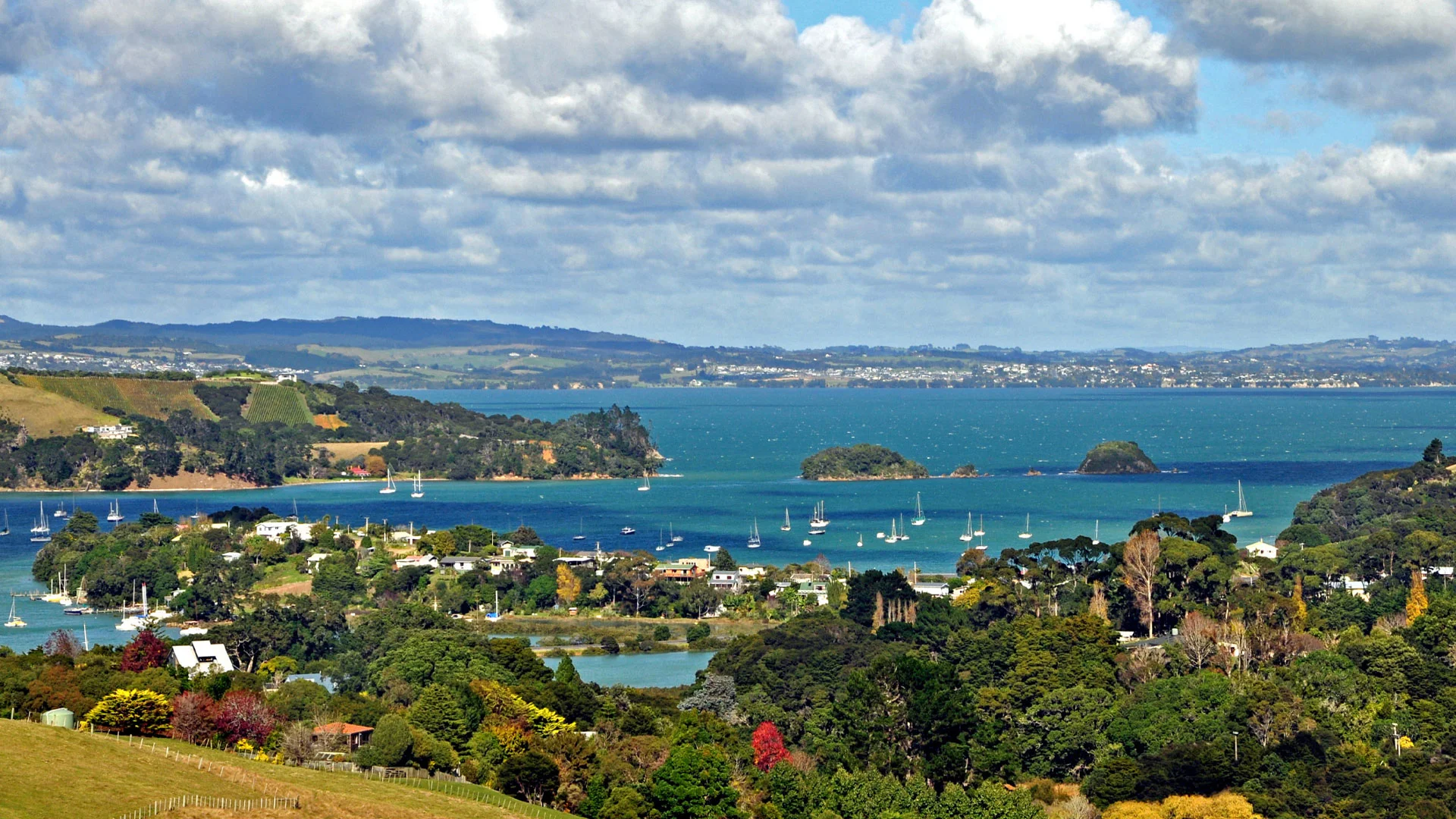 A photo of one of the bays on Wahieke Island on a sunny day, with boats and properties visible in the image.