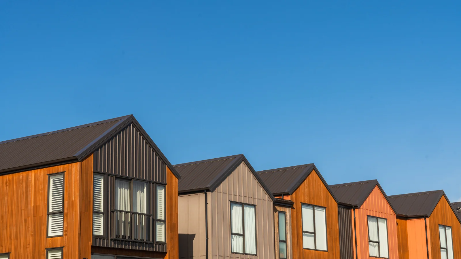 Skyline view in New Zealand