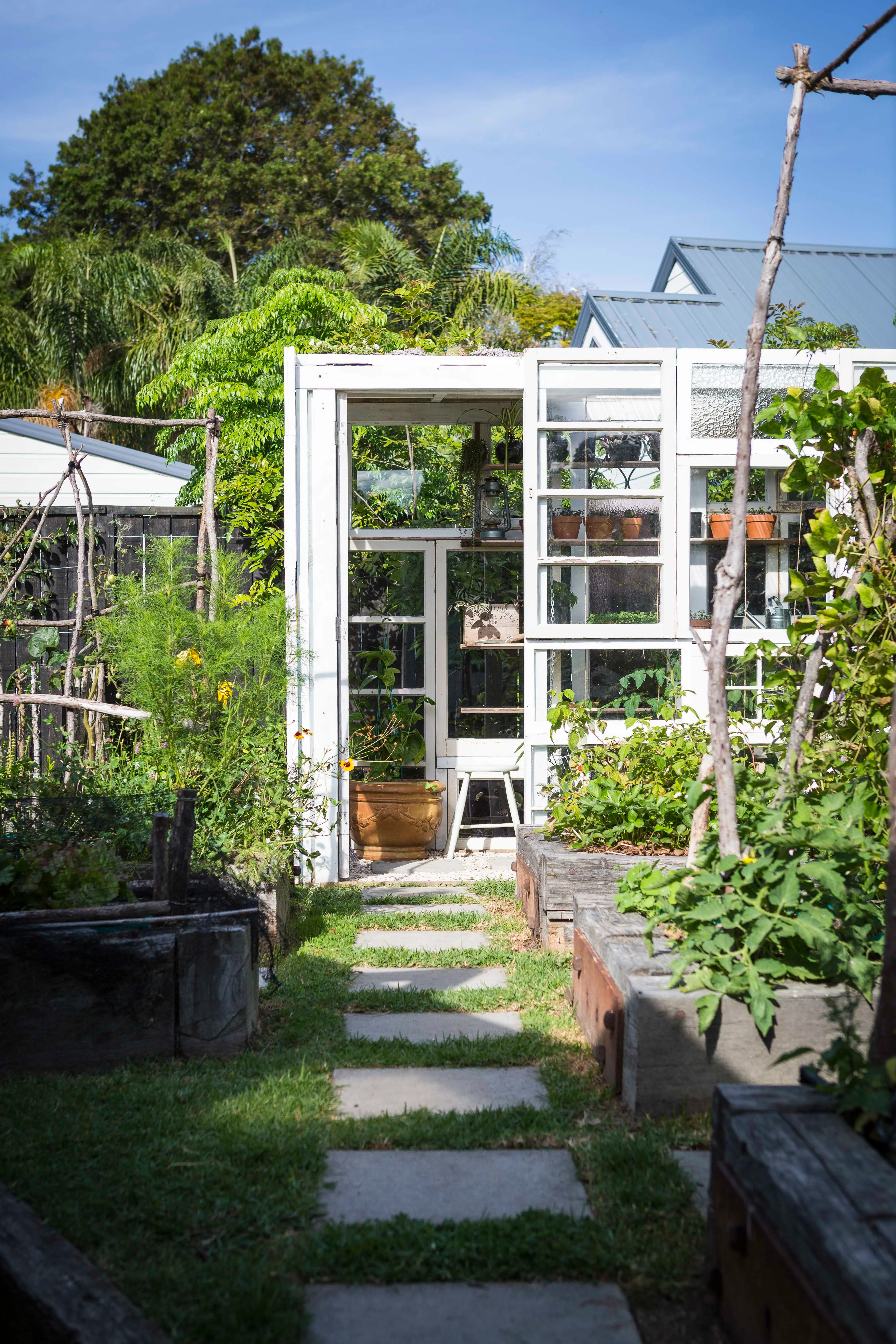 View of the glasshouse