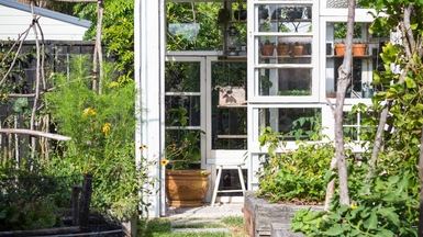 View of the glasshouse