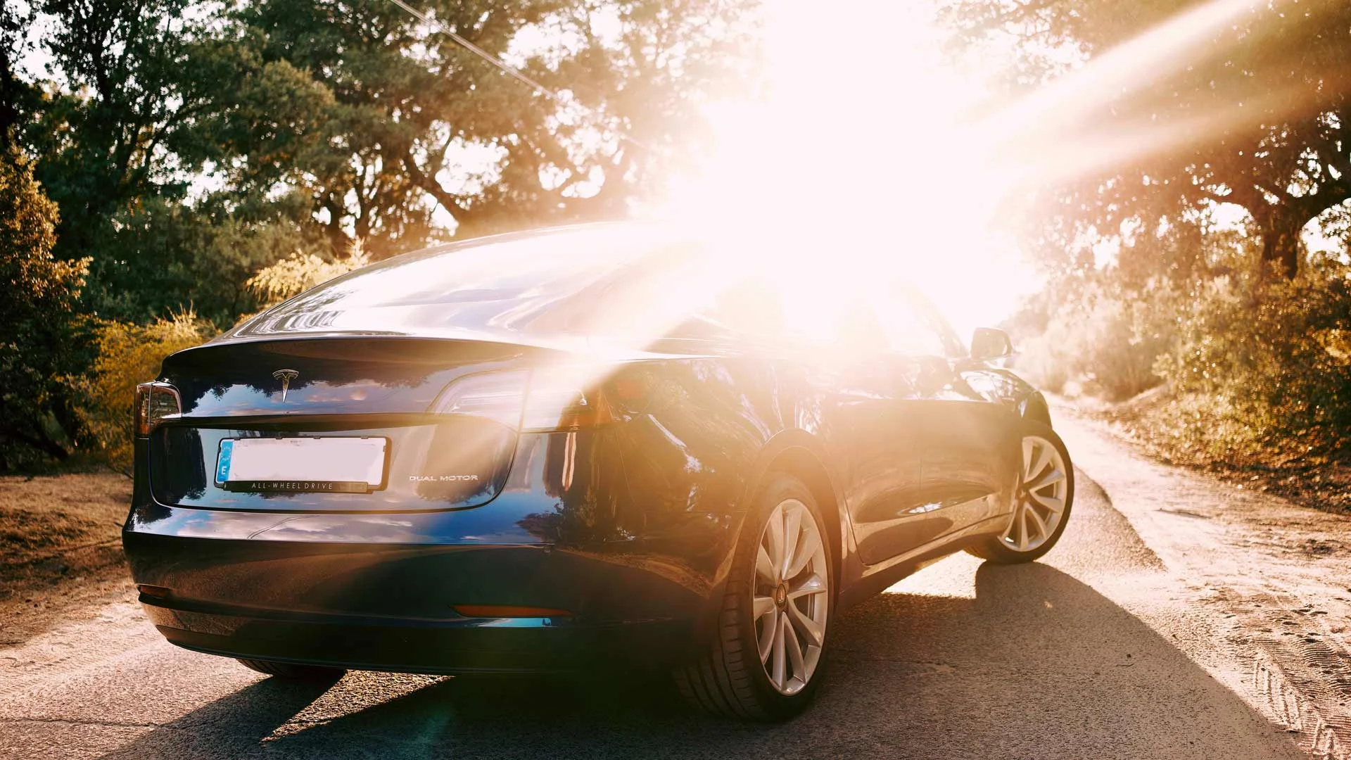 Trade Me Motors logo