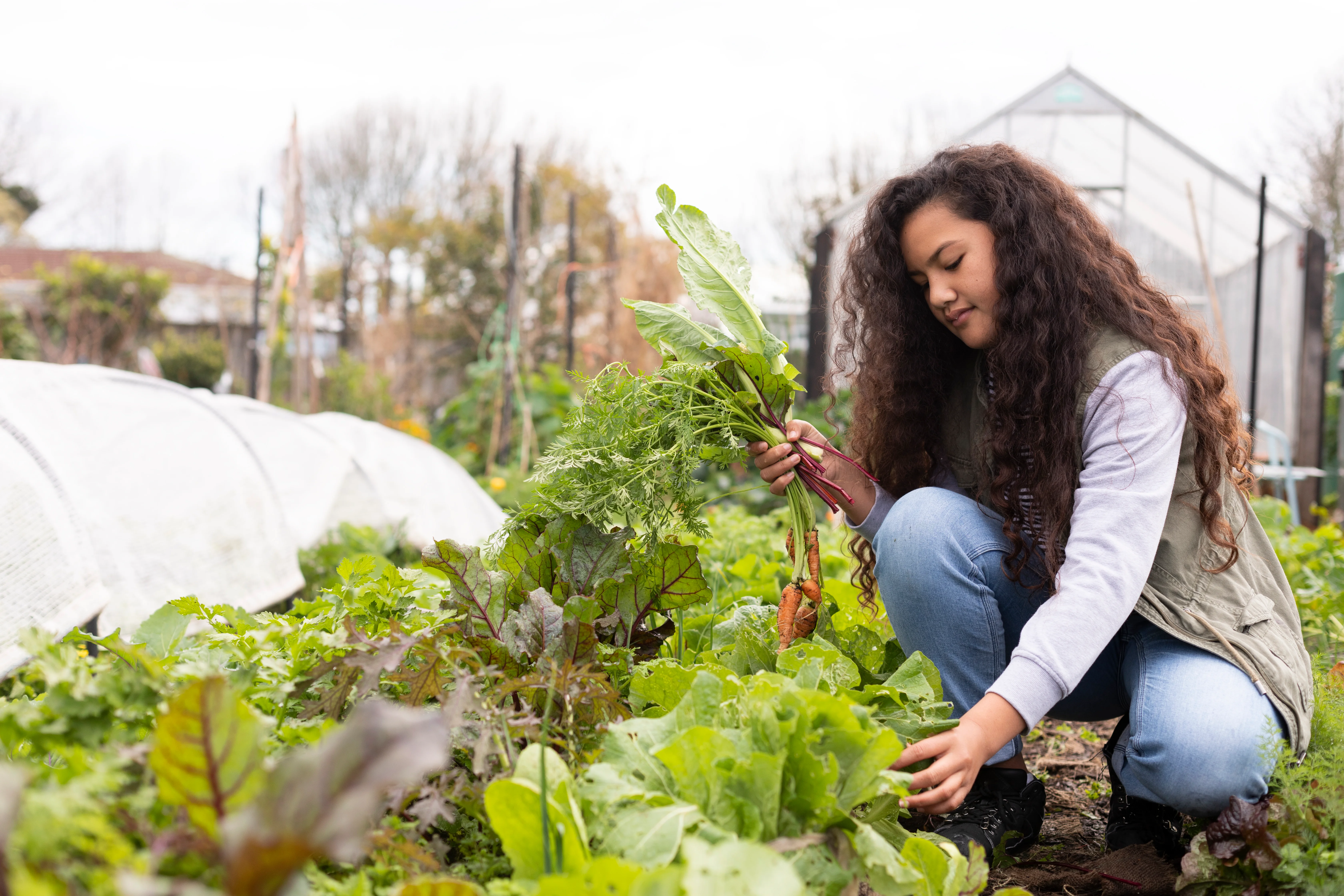 Woman tends to her vegetable patch, a greenhouse and poly tunnel are shown in the background