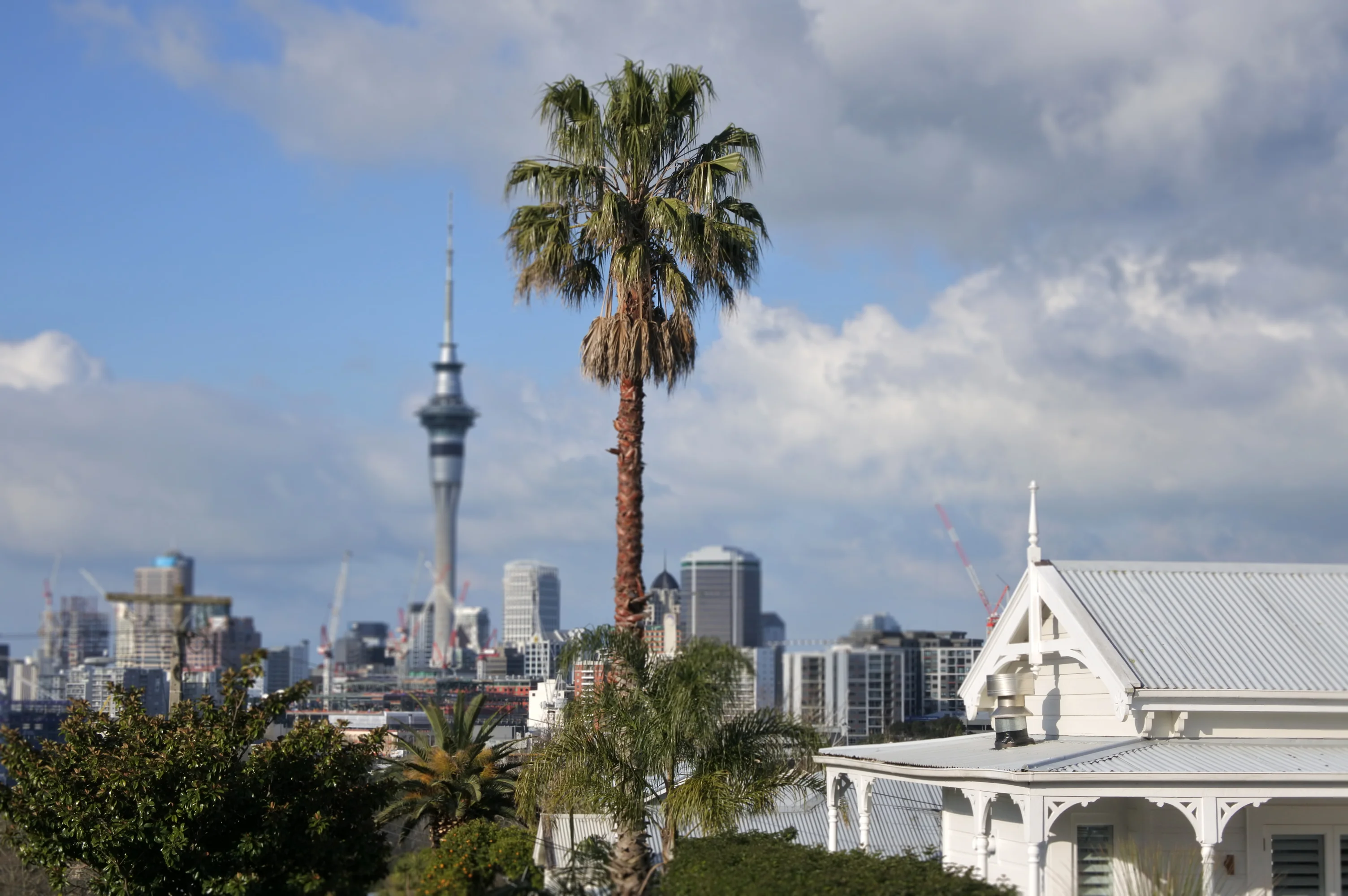 Image of Auckland housing 