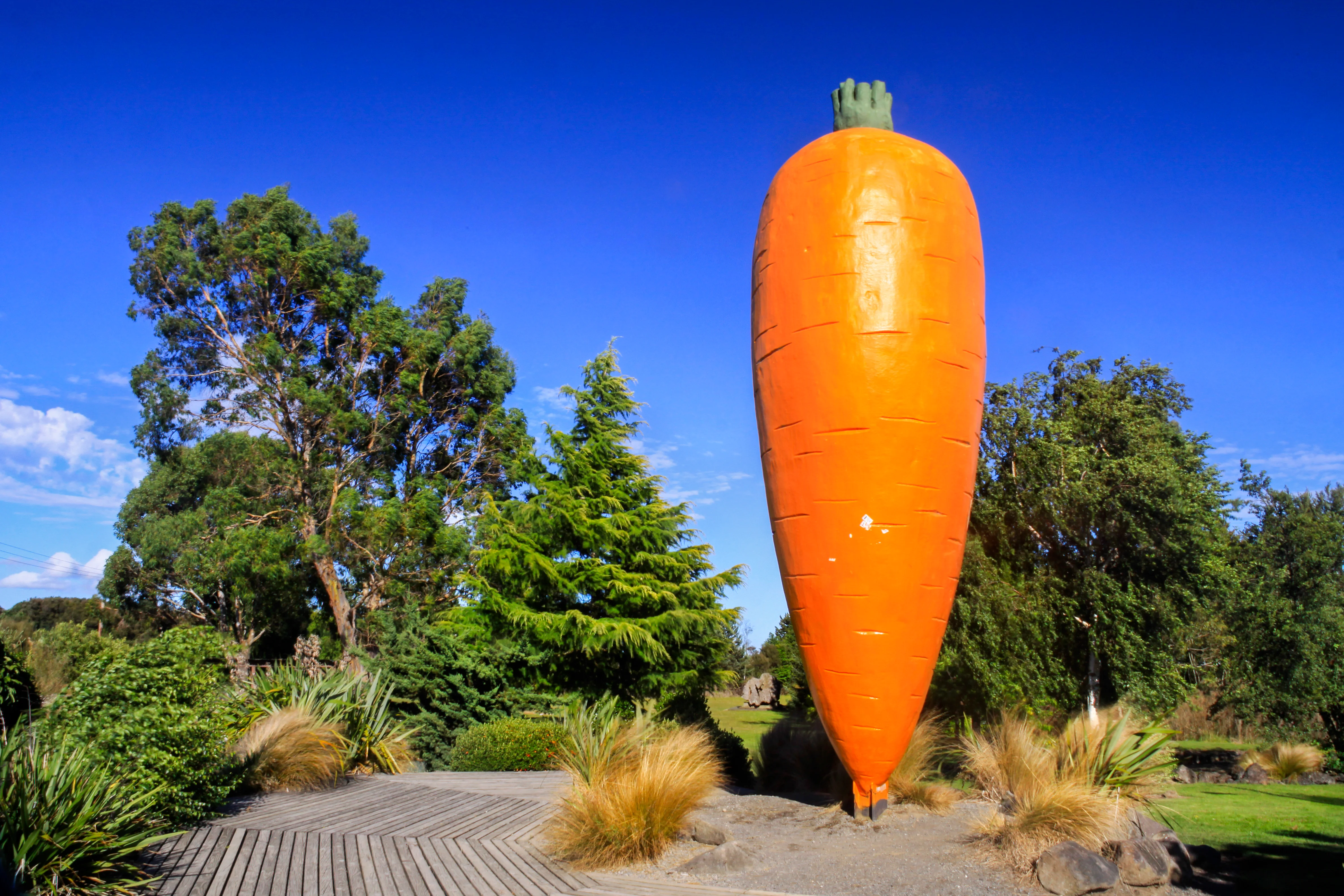 A giant orange carrot stands tall amongst trees