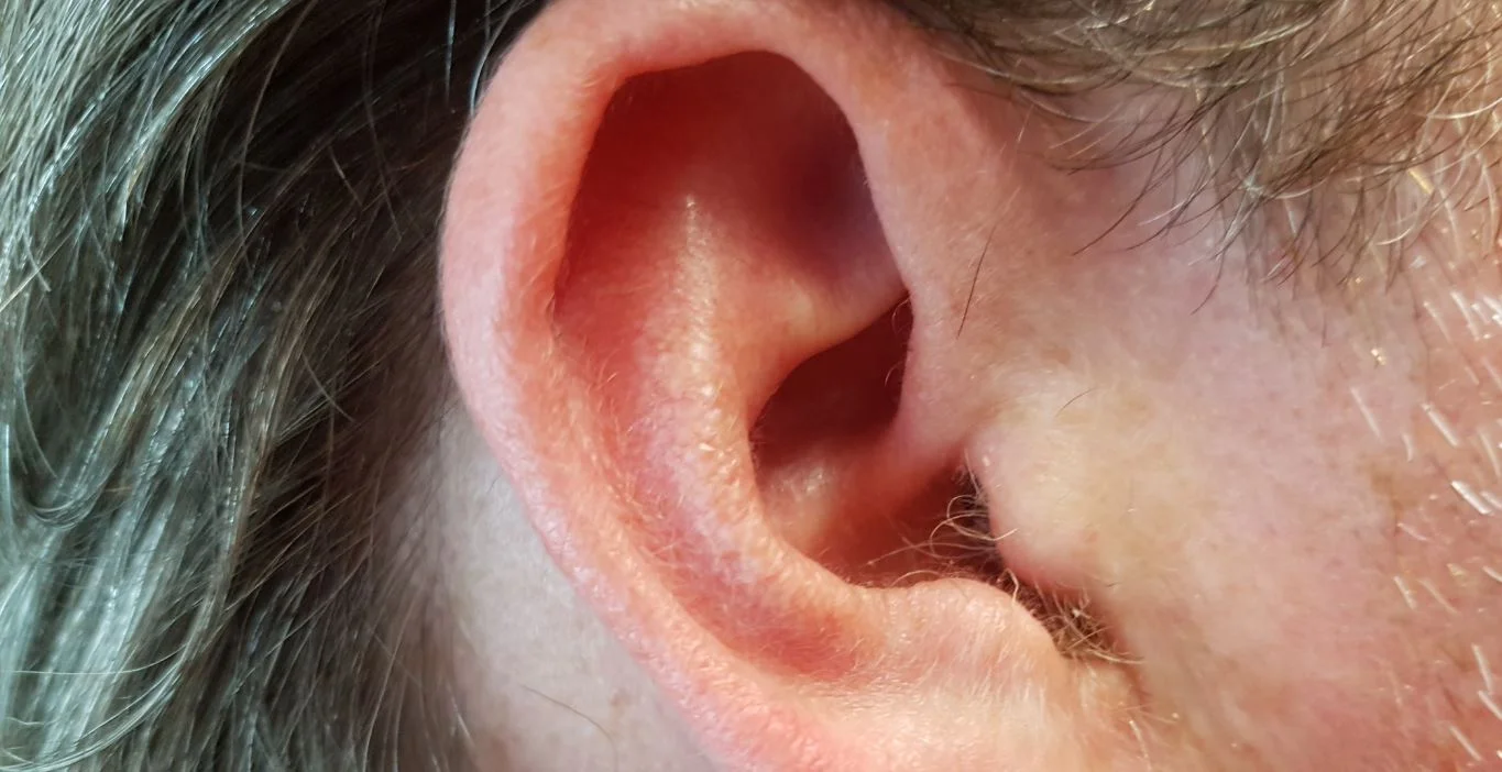 A close up image of an ear