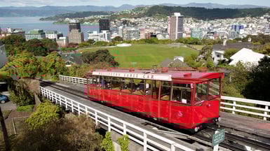 Wellington city