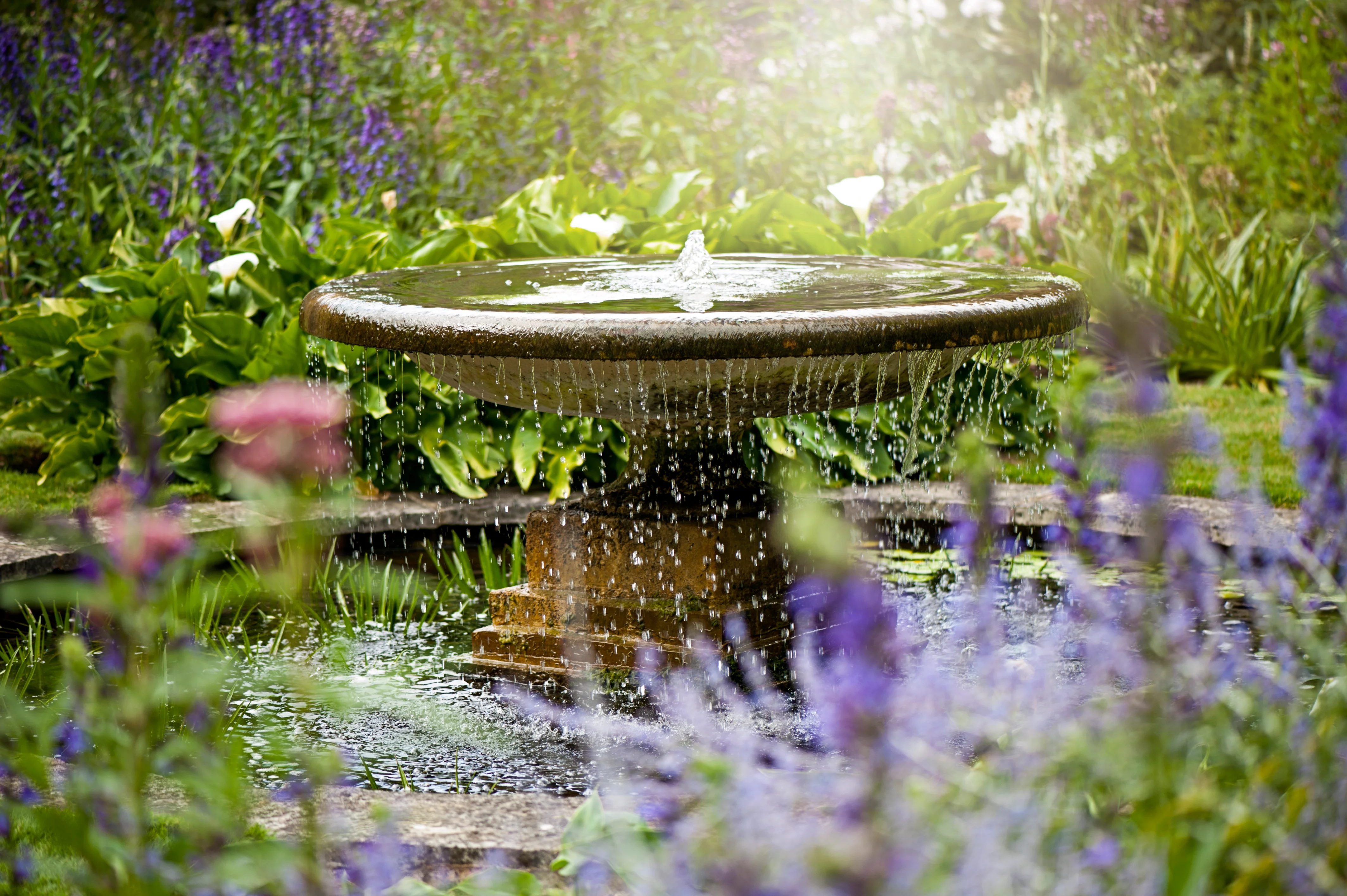 A stone water feature sits in the middle of a pond surrounded by purple and pink flowers