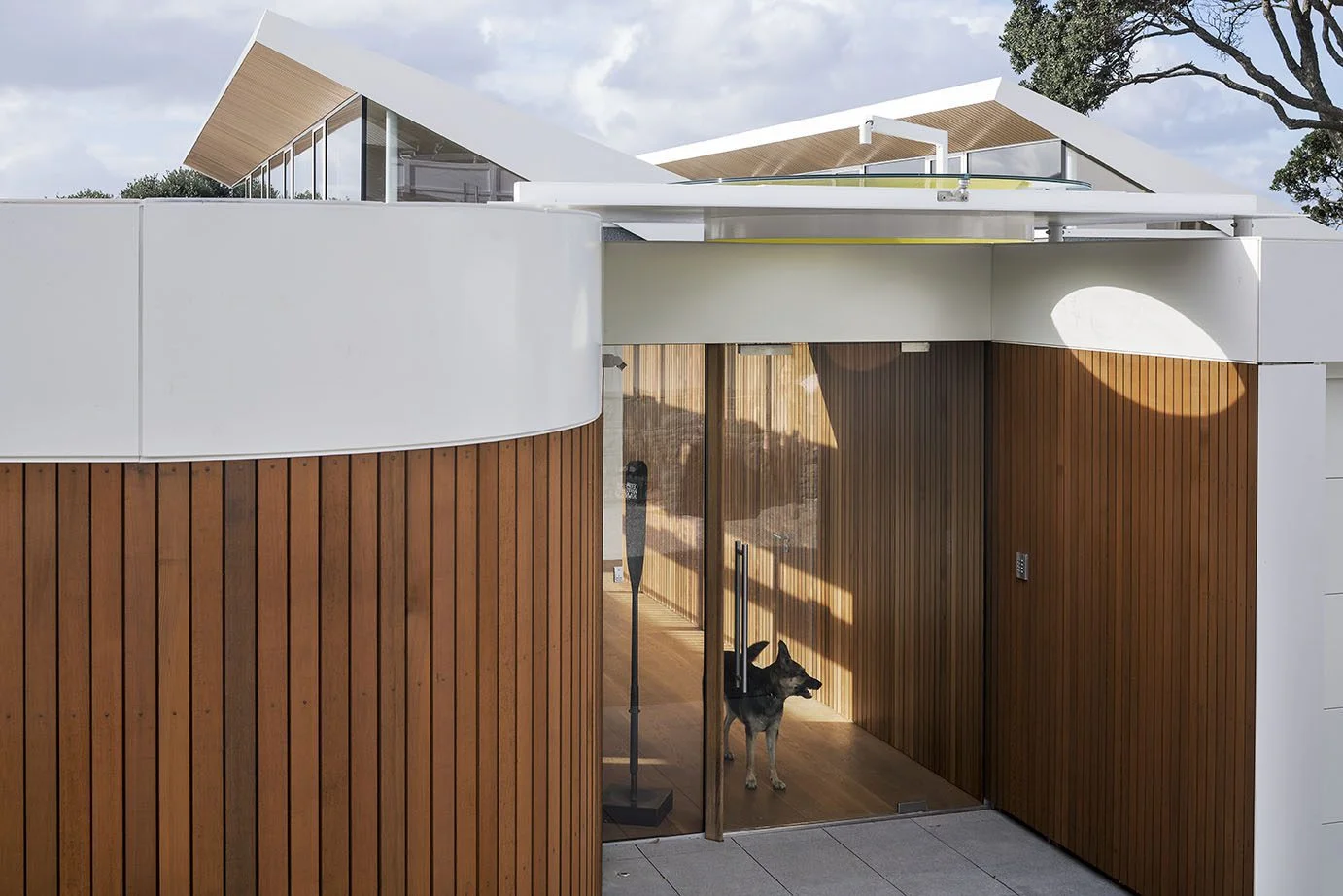 A wooden cladded house with a large glass front door. A german shepherd dog waits patiently behind the glass door. 