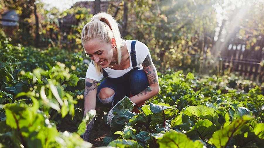 Woman kneeling in her garden, preparing her vege patch for autumn.